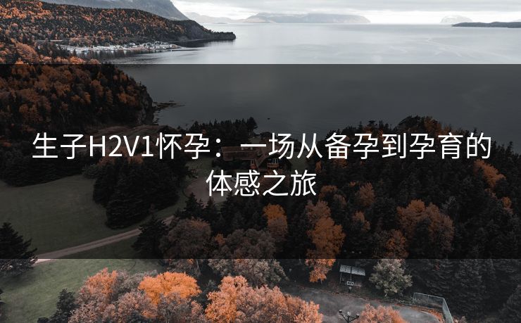 生子H2V1怀孕：一场从备孕到孕育的体感之旅
