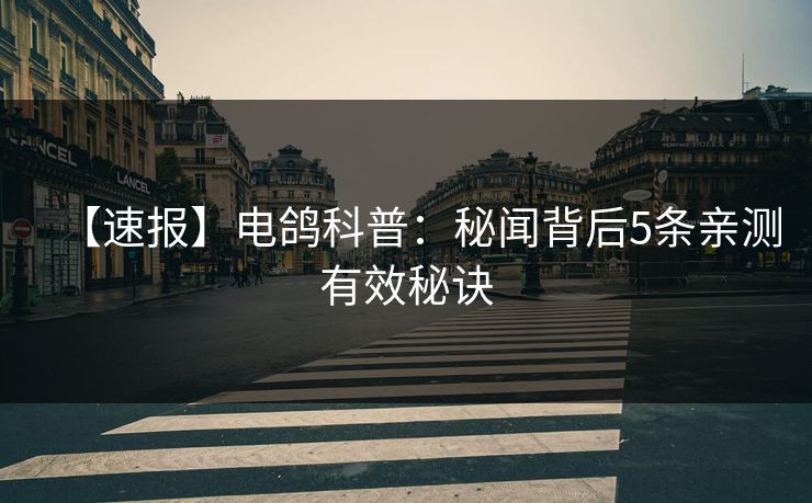 【速报】电鸽科普：秘闻背后5条亲测有效秘诀